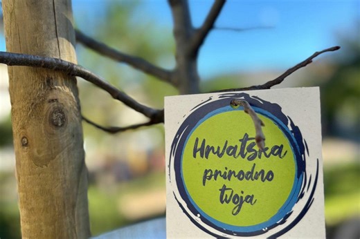 Sadnja stabala projekta „Hrvatska prirodno tvoja“