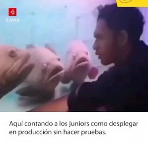 Taller de Springboot Spring Core - ID, SPRING FRAMEWORK, Spring Data, Spring MVC, Spring security, Spring AOP, Spring rest, Spring Batch, Hateoas, MongoDb y Spring WEBFLUX Front End: thymeleaf Tools: IntelliJ, copilot, postman 📈 Regístrate ahora y asegura tu lugar: https://forms.gle/Z8norrtNnixYd9xB9 Fecha: Inicio Viernes 9 de febrero Escríbenos a nuestro WhatsApp 📲https://wa.me/51932656459 #CJavaNOpara#Java #Architect#Charla#Programación #Programadores #Java #Cjava #AprendeDesdeCasa | CJava P