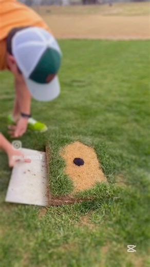 How to remove dead grass from lawn #viral #ytshorts #lawn