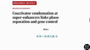 Coactivator condensation at super-enhancers links phase separation and gene