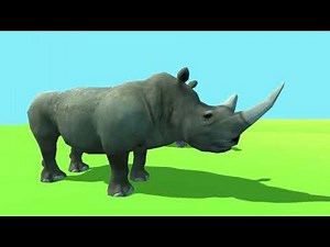 Rhino Speed Race in Planet Zoo | Near Threatened Animals Speed Race