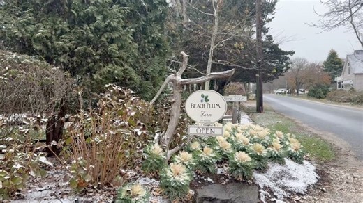 22 reactions | Beach Plum Farm on Reels | Facebook