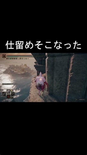 エルデンリング 地獄の侵入 ブラジル勢の大逆襲逆に崖際を使われる！ ELDEN RINGDLC #elden #eldenringdlc #ダクソ3