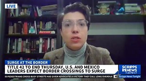 American Immigration Council on Reels | Facebook