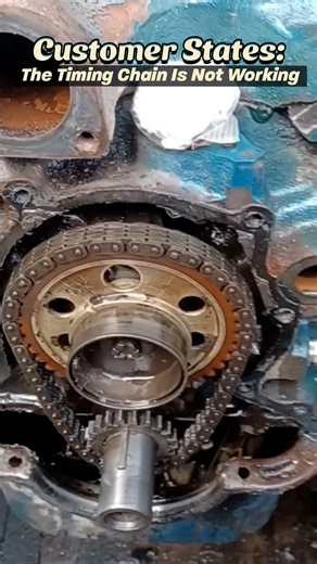 The Timing Chain Was a bit Old! | Just Rolled In