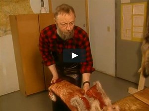 Alaska Guide To Fur Handling: Part 3 Large Furbearer Boarding