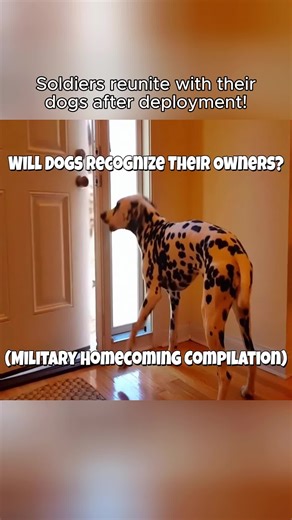 Emotional Reunion: Soldiers and Their Dogs After Deployment