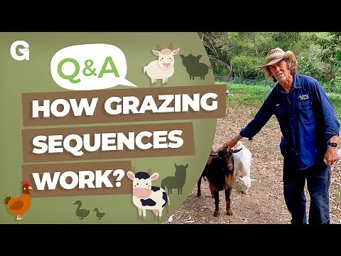 How Grazing Sequences—Goats to Horses to Cattle to Sheep—Work