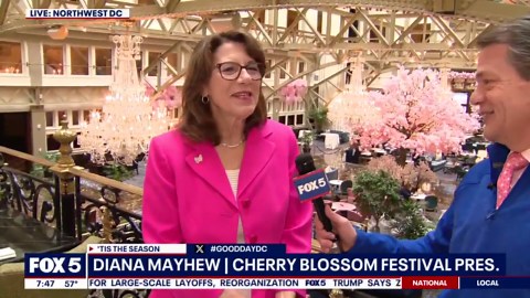 DC cherry blossoms: 2025 peak bloom prediction dates revealed