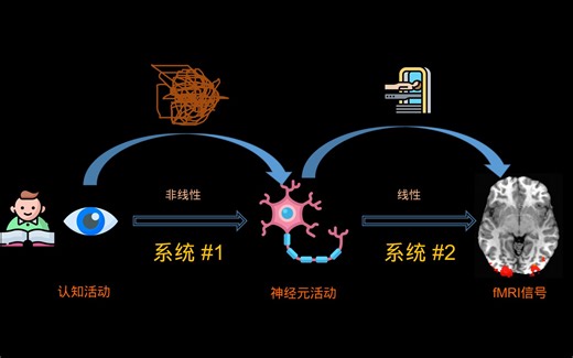 fMRI小知识：什么是HRF/IRF?(简单讲）