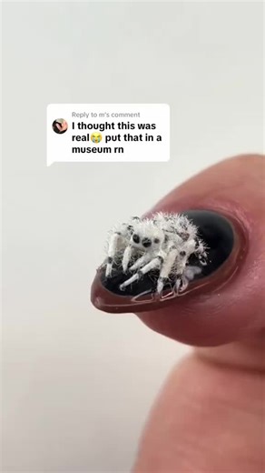 Creepy Spider Nails for Halloween