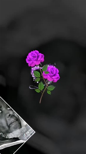 Abuba Zakkari (@abuba.zakkari)’s videos with original sound - Abuba Zakkari