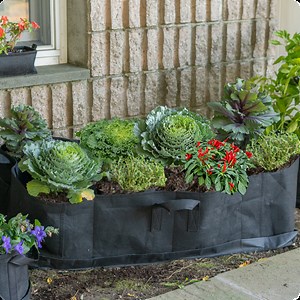 Inside Deals from Inside Edition