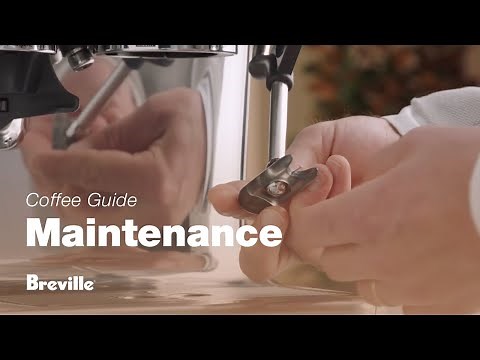 The Barista Pro™ | Clean and unblock your steam wand for microfoam perfection | Breville USA