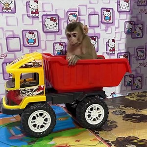 6.1K views · 1.5K reactions | Let go Boo... | Tom & Jerry Family | Facebook