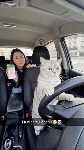 Uber le plus bizarre de France 💀😹 #humour #pourtoiii #viral #chat