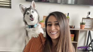 This Dog Actually Bosses This Woman’s Husband Around! It’s So Funny You Have To Watch