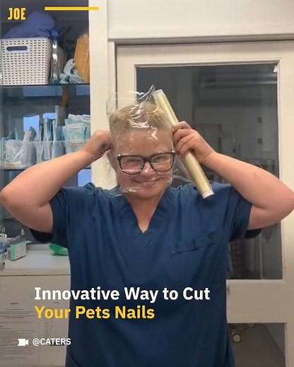 This is the new way to clip your dog's nails 😂 | Comedy JOE