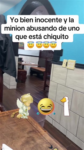 #behappy #funny #Meme #gto #usa
