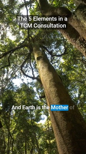 14K views · 259 reactions | You’ve asked for it—and it’s finally...