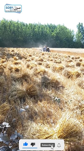 13K views · 180 reactions | Tractor Front Reaper Binder | Tractor Operated | Harvesting | #sobyagromachinery #harvesting #crops | Soby Agro Machinery | Facebook