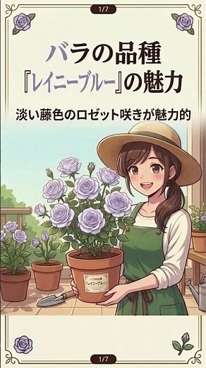 📌【初心者〜中級者向け】バラの品種「レイニーブルー」🌹✨