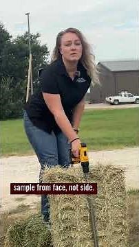 How to sample a square bale #farming #diy #agriculture #forageharvester