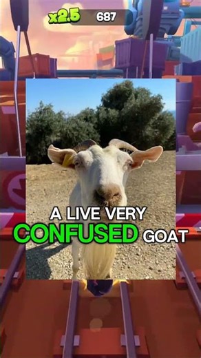 Absolute chaos items to never brings into finals🤩🤯#redditstories#viral#shorts