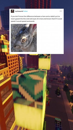 Bunny vs Hare: Understanding the Key Differences