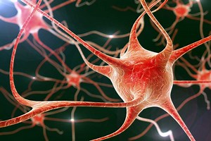 Science says that these are the five MOST ADDICTIVE substances on earth - Extra.ie