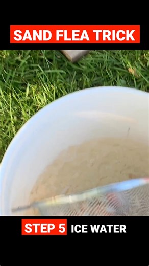 The best trick! #fishing | Phil Hollandsworth