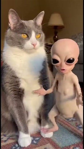 This Cat Caught an Alien and Has Zero Respect for It #shorts #alien #cats
