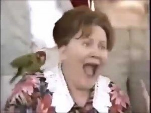 Opening to The Incredible Hulk 2003 VHS