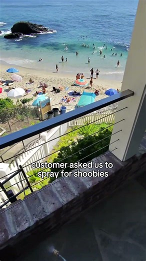 Spraying for Shoobies💦