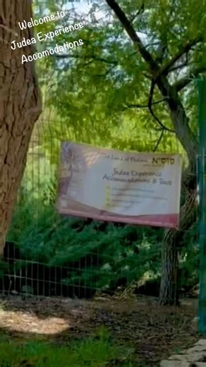 Israel is open, safe for tourists, beautiful and inspirational. You can start planning your (next) visit !!! We will be happy to host and guide you (again) too. Welcome to Israel 🇮🇱 !!! Israel is safe for tourists!!!. Welcome to our Judea Accomodations in the Judean Land of Psalms. Check out our renewed website https://susya.org.il/en/ #tourismisrael #theland #tourism #Israel | I stand with Israel