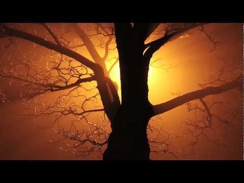 Tao Te Ching by Lao Tzu Chapter 1, Darkness born from Darkness