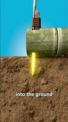 How Does A Bamboo Rat Trap Work 🤔