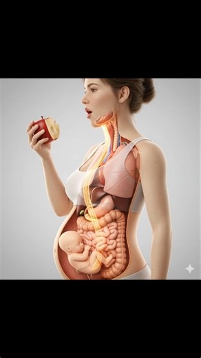 Human Heart 3D Animation ❤️ | Human Anatomy 3D #shorts #foryou #viral