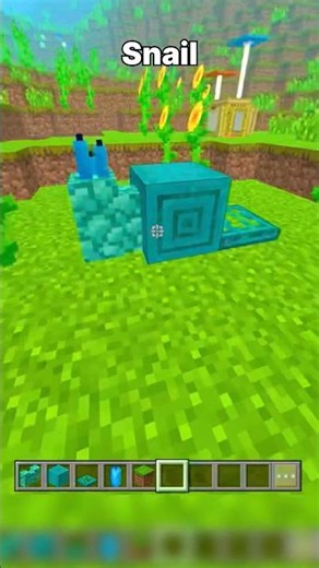 Minecraft Biuld Hacks