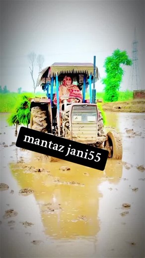 Mastering Line Techniques for Sticker Placement