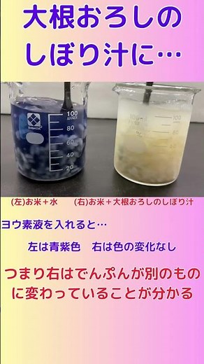 【理科】唾液の代用実験