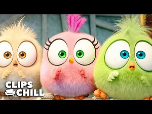 Las Mejores Escenas de Bebé Pájaros de Angry Birds 2: la película