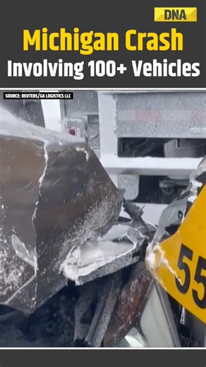 US News: Over 100 Vehicles Collide In Massive Michigan Highway Crash | Trump New #MichiganHighwayCrash #USA #DNAVideos | DNA India | Facebook