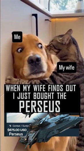 Wife Just Found Out I Bought the Perseus