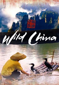 Wild China Season 1 - watch full episodes streaming online