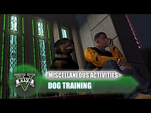 GTA 5 Dog Training (Chop)