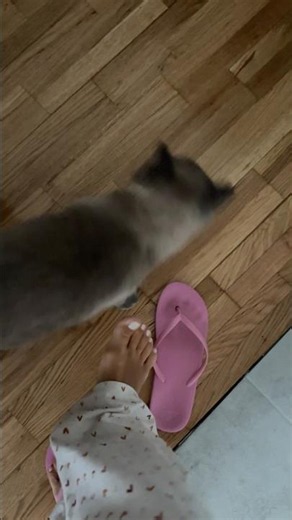 Barefoot Moments | Feet Video Every Day | Barefoot Girl #asmrshorts #feet #asmr #toes #barefoot