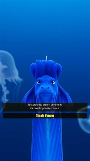 This 1-Inch Slug Eats the DEADLIEST Jellyfish in the Ocean #shorts #animals