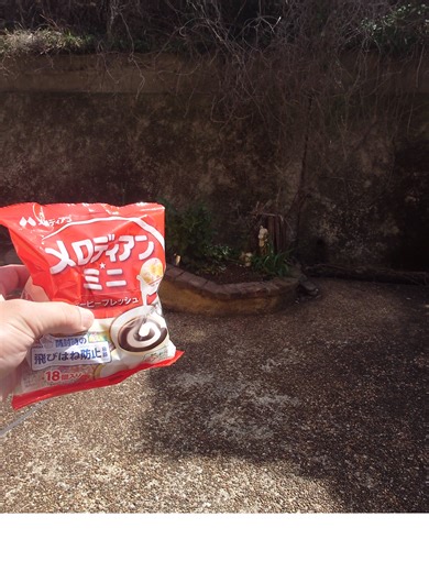 メロディアンミニ 食べ方 #ミートソース #ほりにし #メロディアンミニ