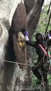 101K views · 582 reactions | Wonders of nature  | Global Informers | Facebook